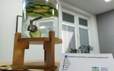 Sprawy w CWŻ? Mamy dla Ciebie coś na ochłodę!
